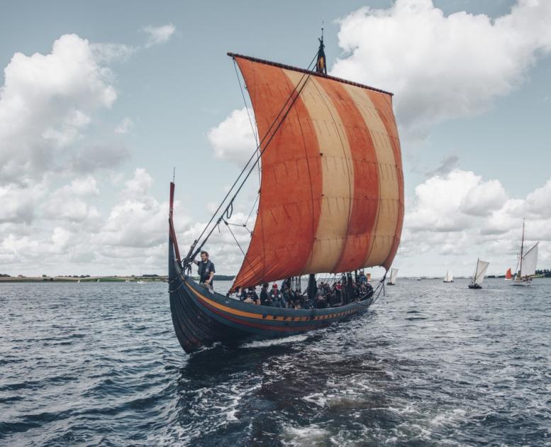Find your inner Viking sailing a viking ship in Roskilde Fjord