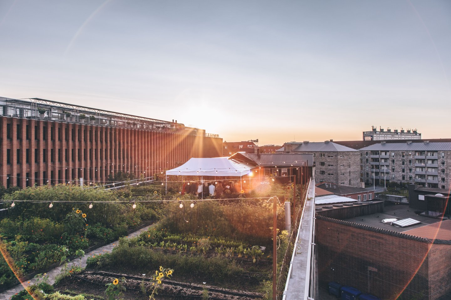 Østergro, Copenhagen