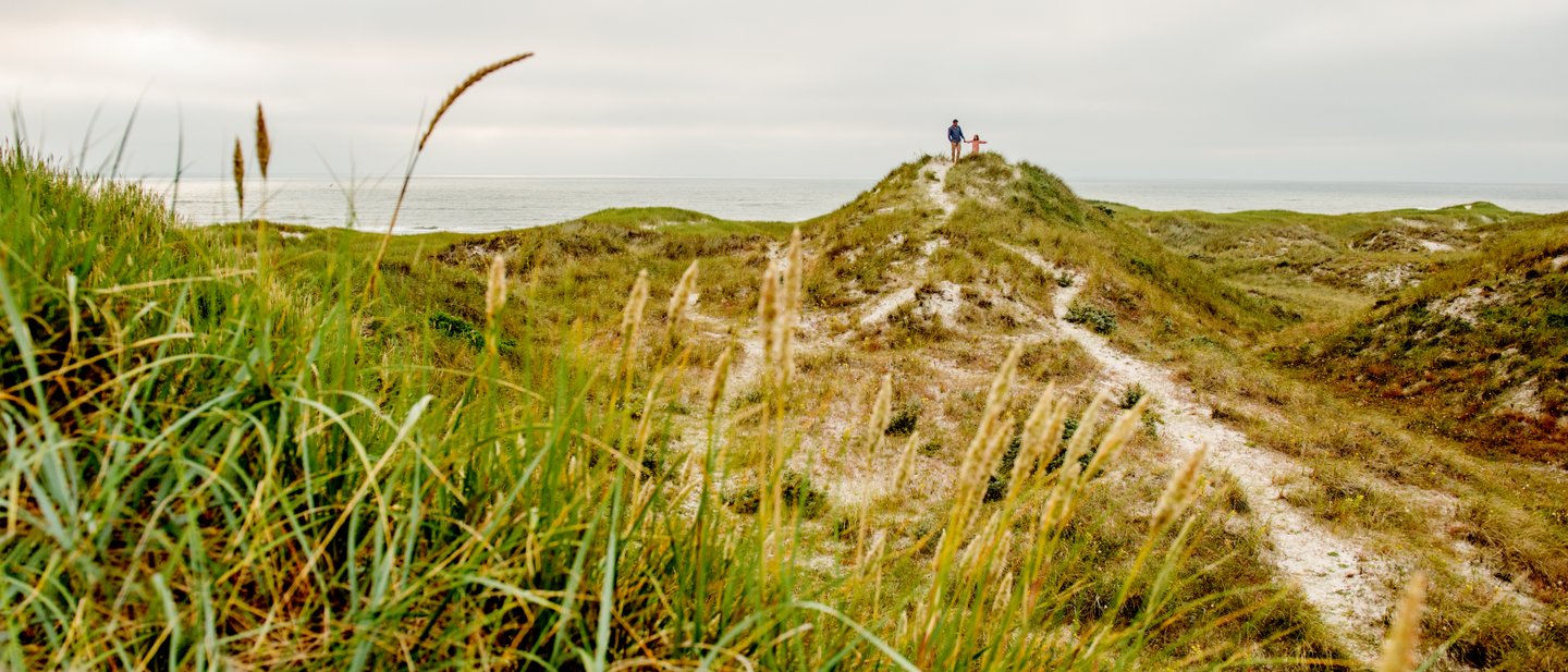 The Dunes at Henne Strand in West Jutland, Denmark