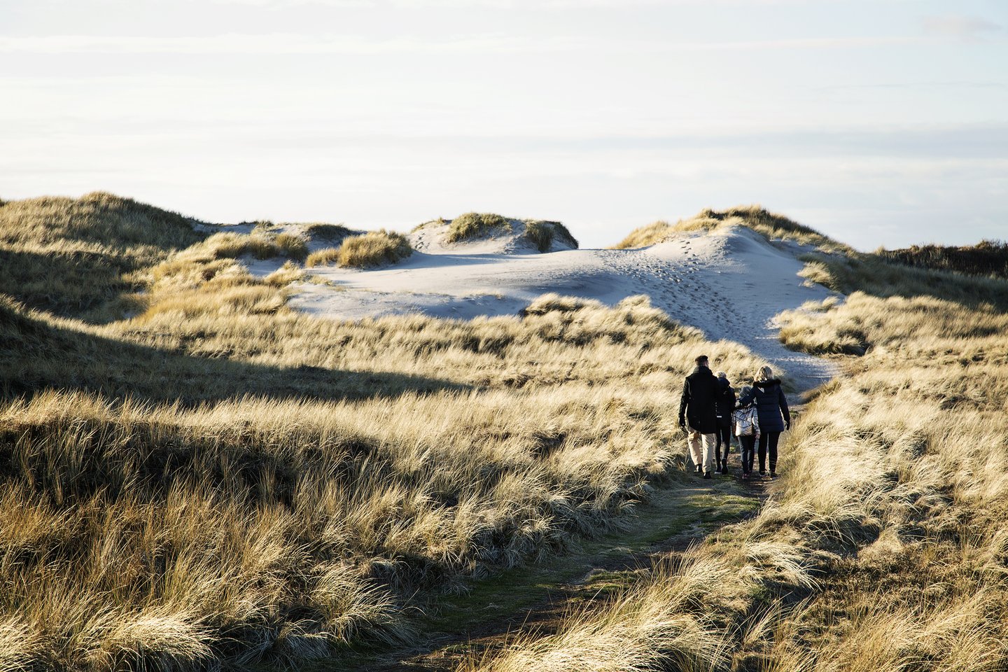 Family walking in dunes at Hvide Sande, Denmark
