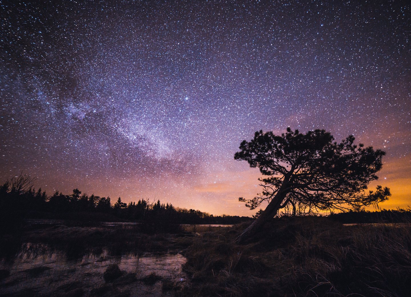 Sternenhimmel über dem Thy Nationalpark