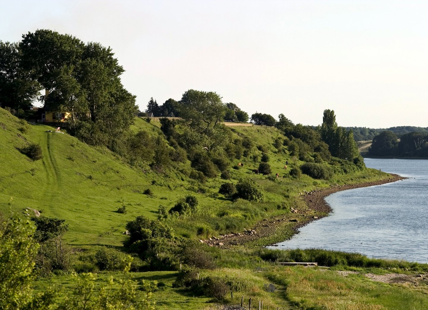 Bramsnæs Vig ved Lammefjorden