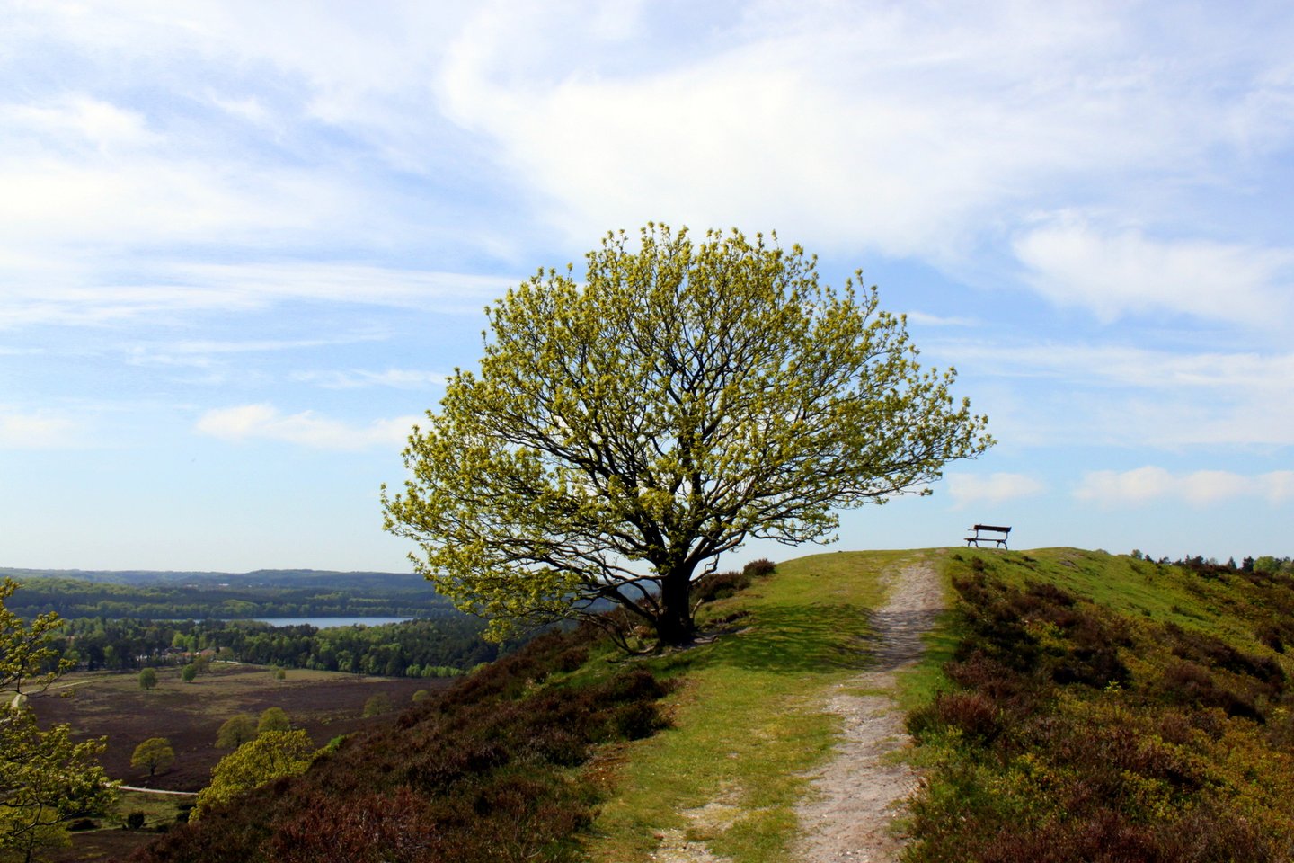 Silkeborg and the Danish Lake District