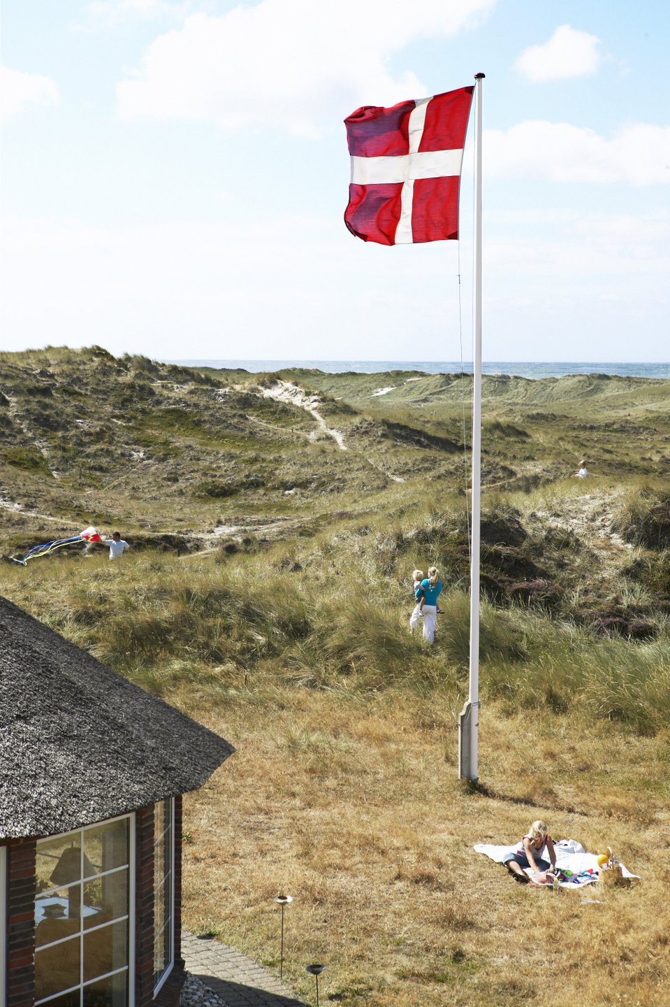 Summer house with Danish flag