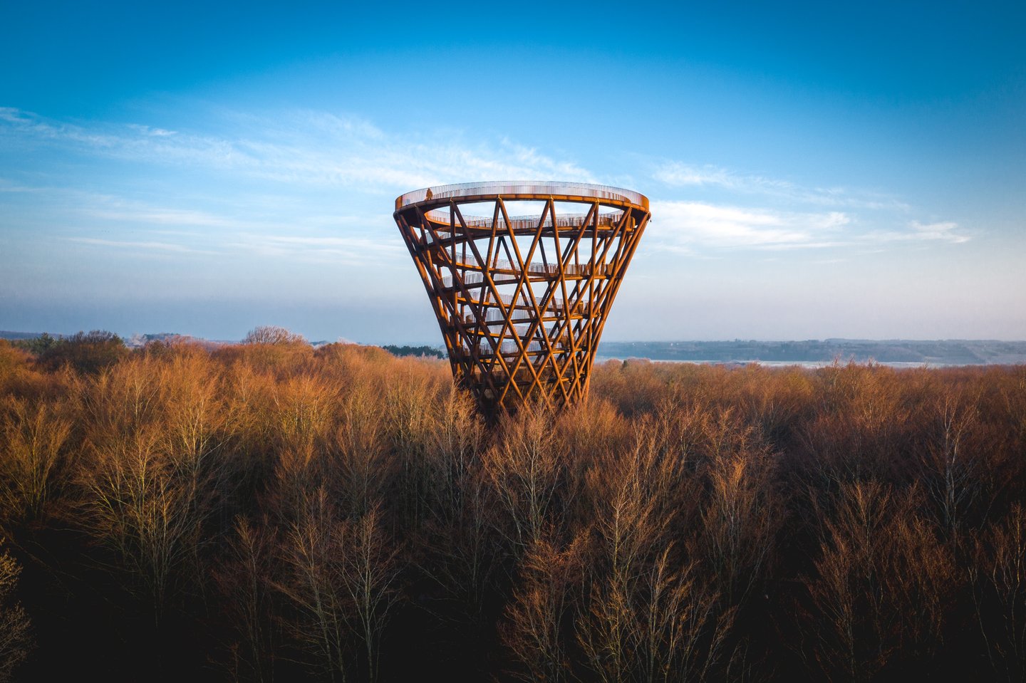 The Camp Adventure Treetop Experience