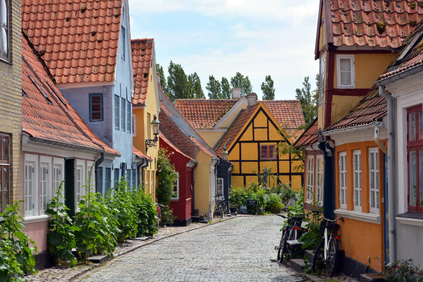 Campaign NO Fyn Ærøskøbing