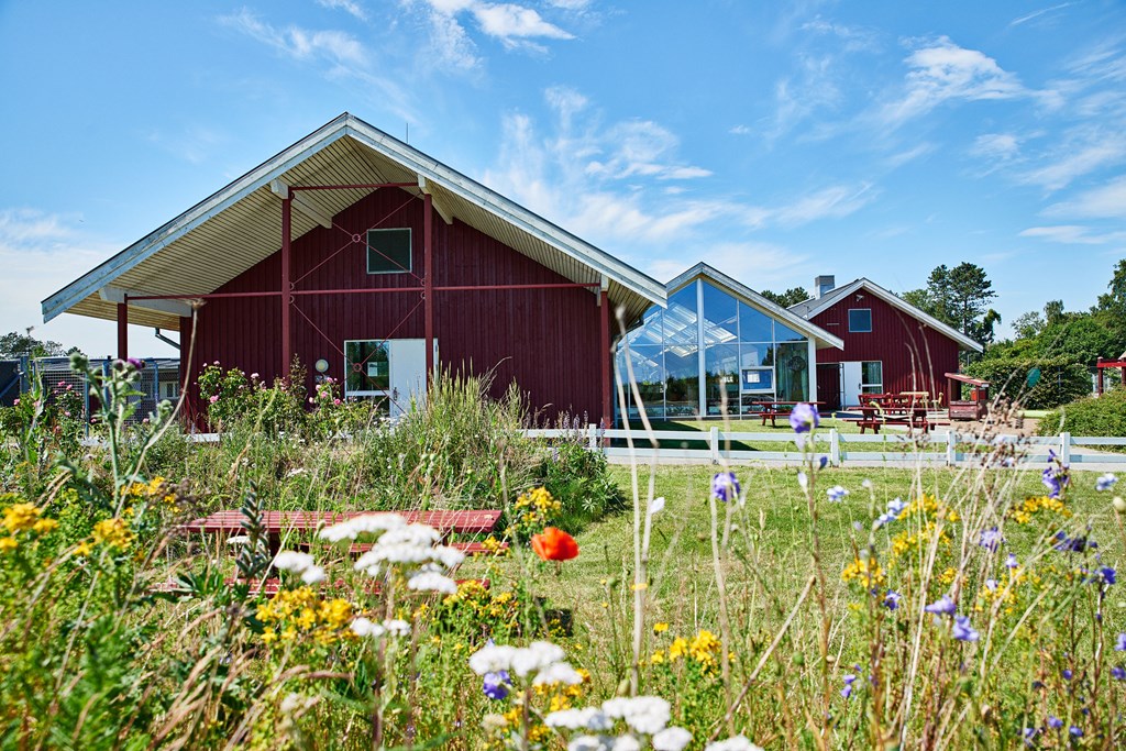 Bo på vandrarhem! Foto: Danhostel Ishøj Strand