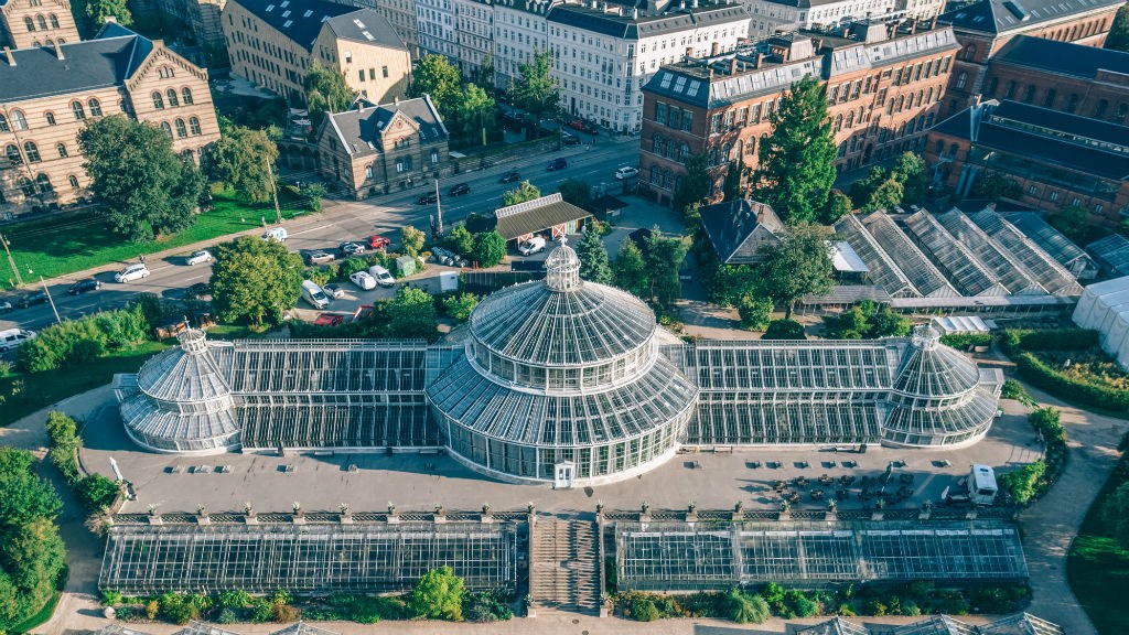 Köpenhamns praktfulla botaniska trädgård. Foto: VisitCopenhagen