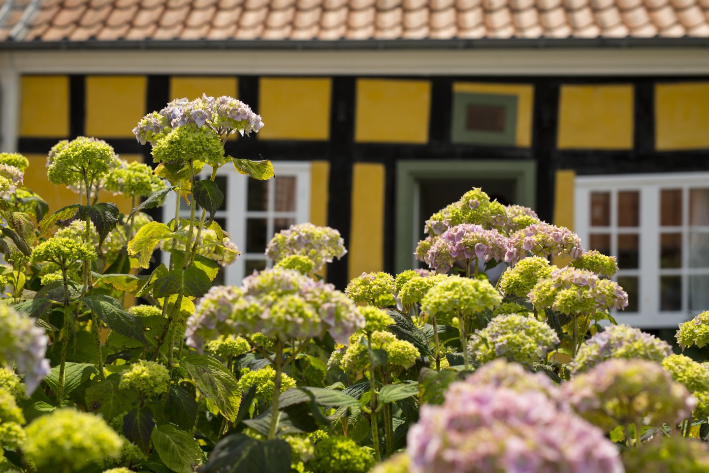 Skagens Museum Anchers Hus