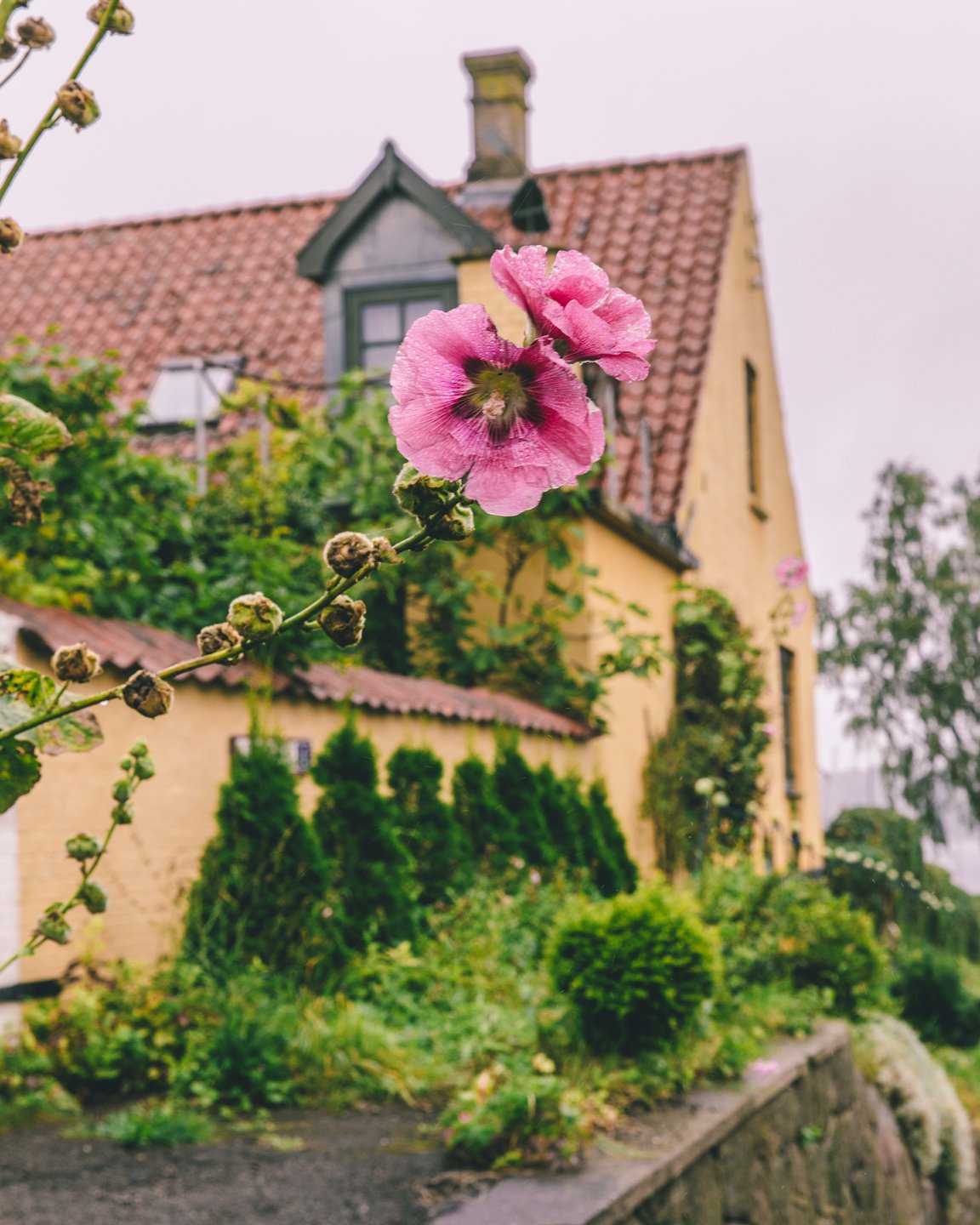 The charming town of Præstø is located south of Copenhagen