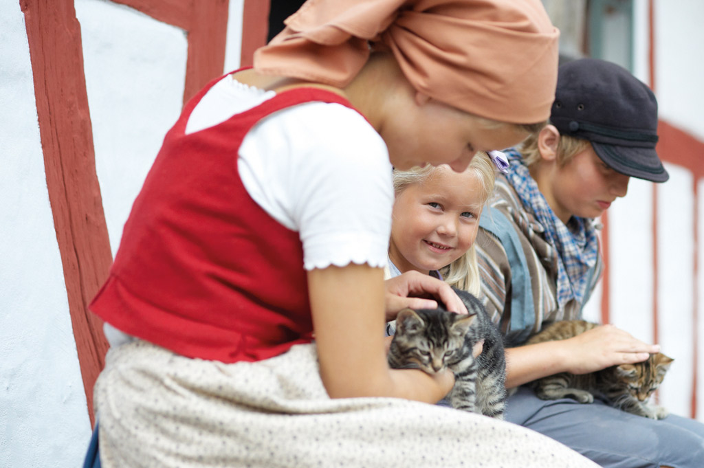 Il Villaggio di Fionia