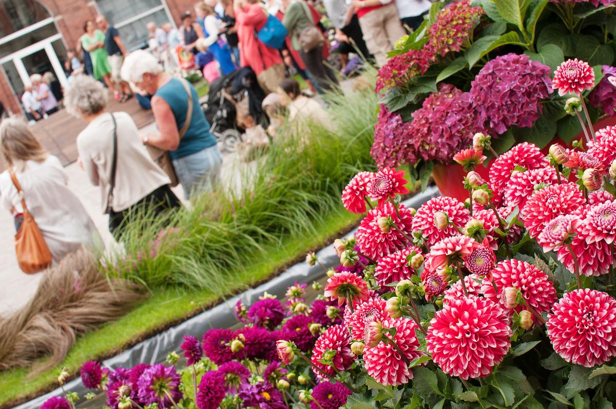 Il Festival dei fiori, Odense, Fyn