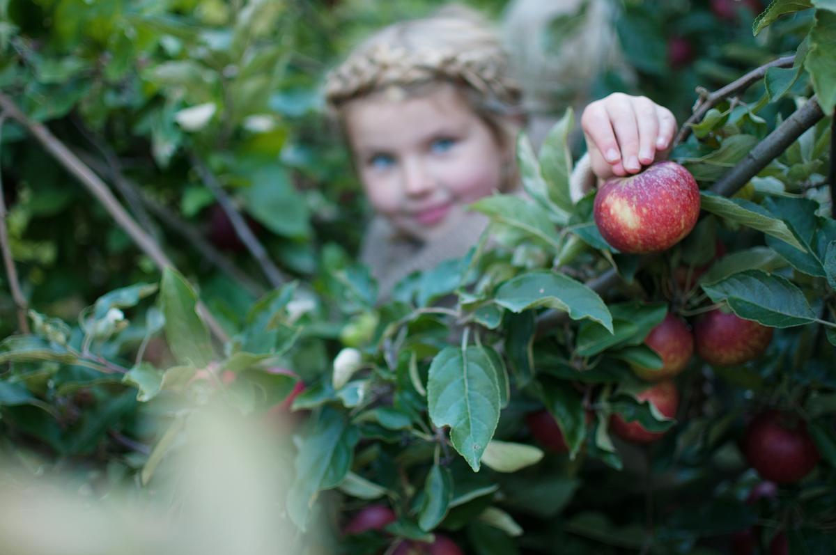Il giardino delle favole, Fionia