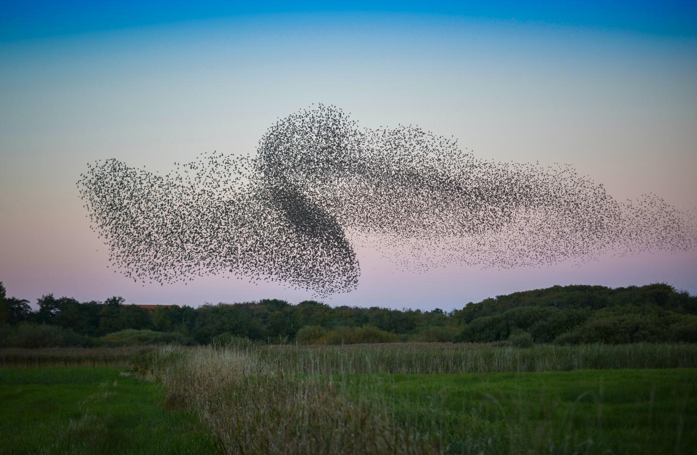 Black sun in Ribe, Denmark