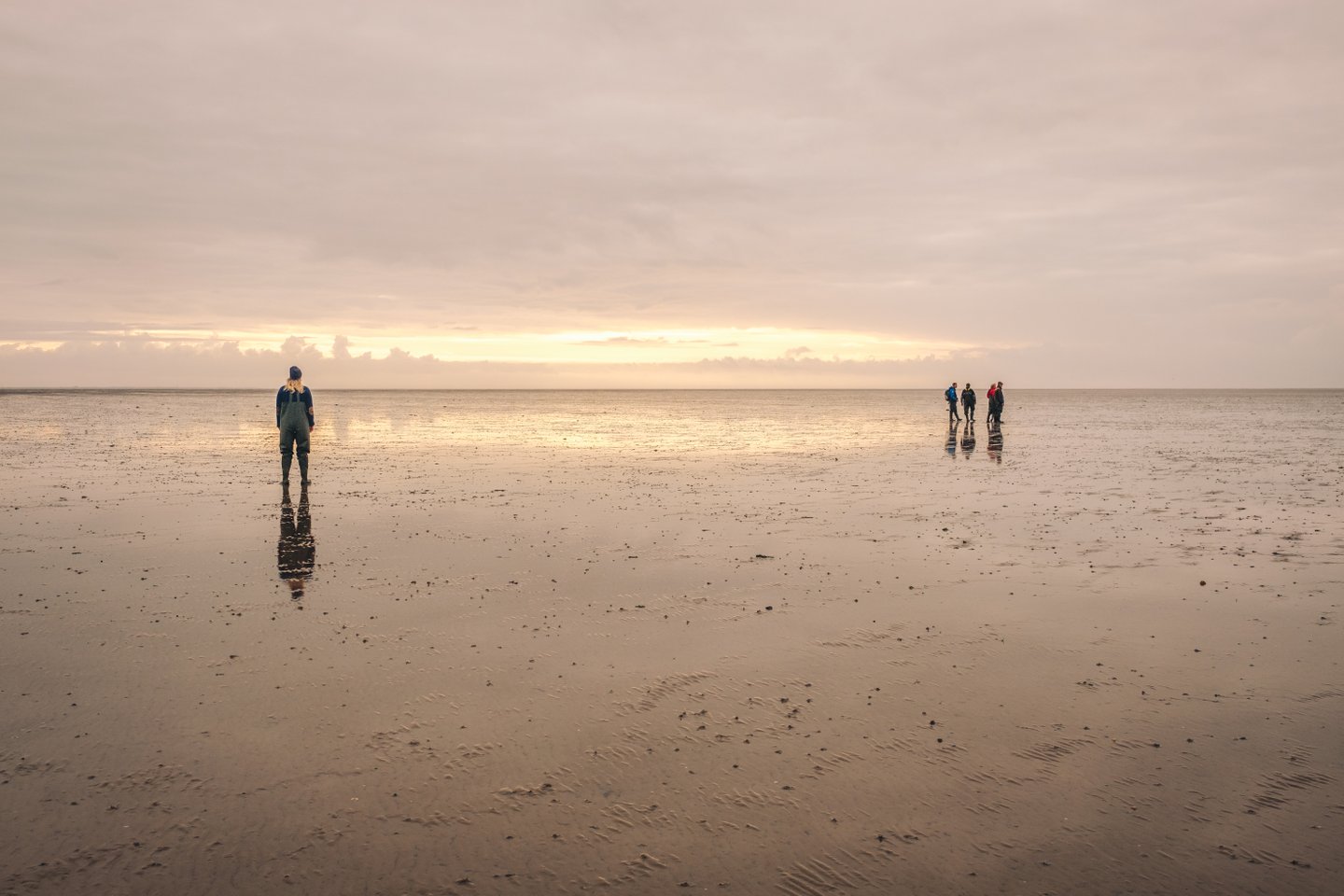 The Wadden Sea National Park, Denmark
