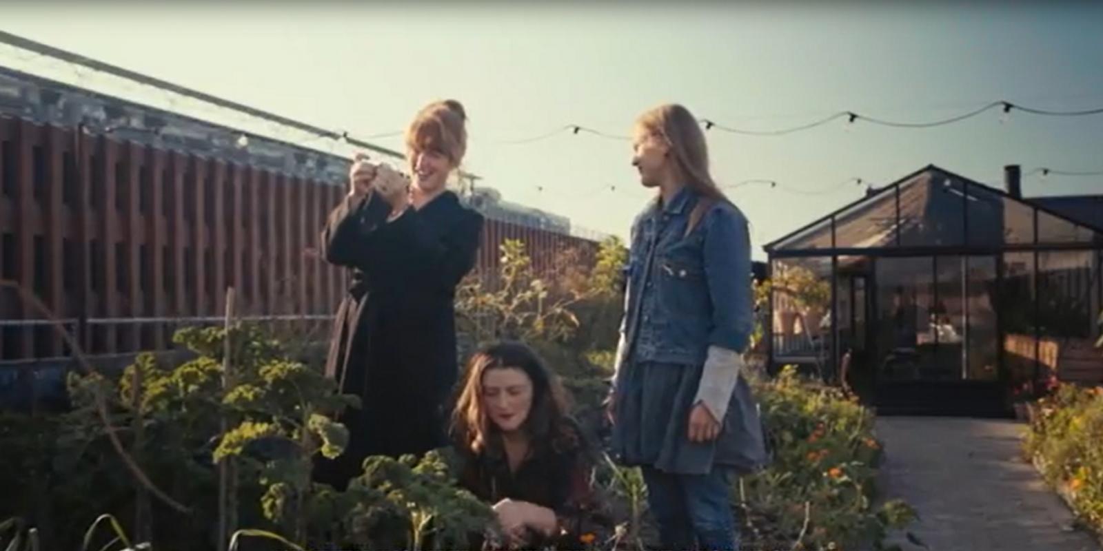 Best of Copenhagen - Hazel