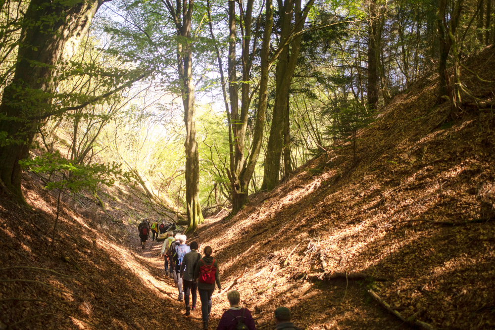 Tranum-Fosdal. Photo: VisitJammerbugten