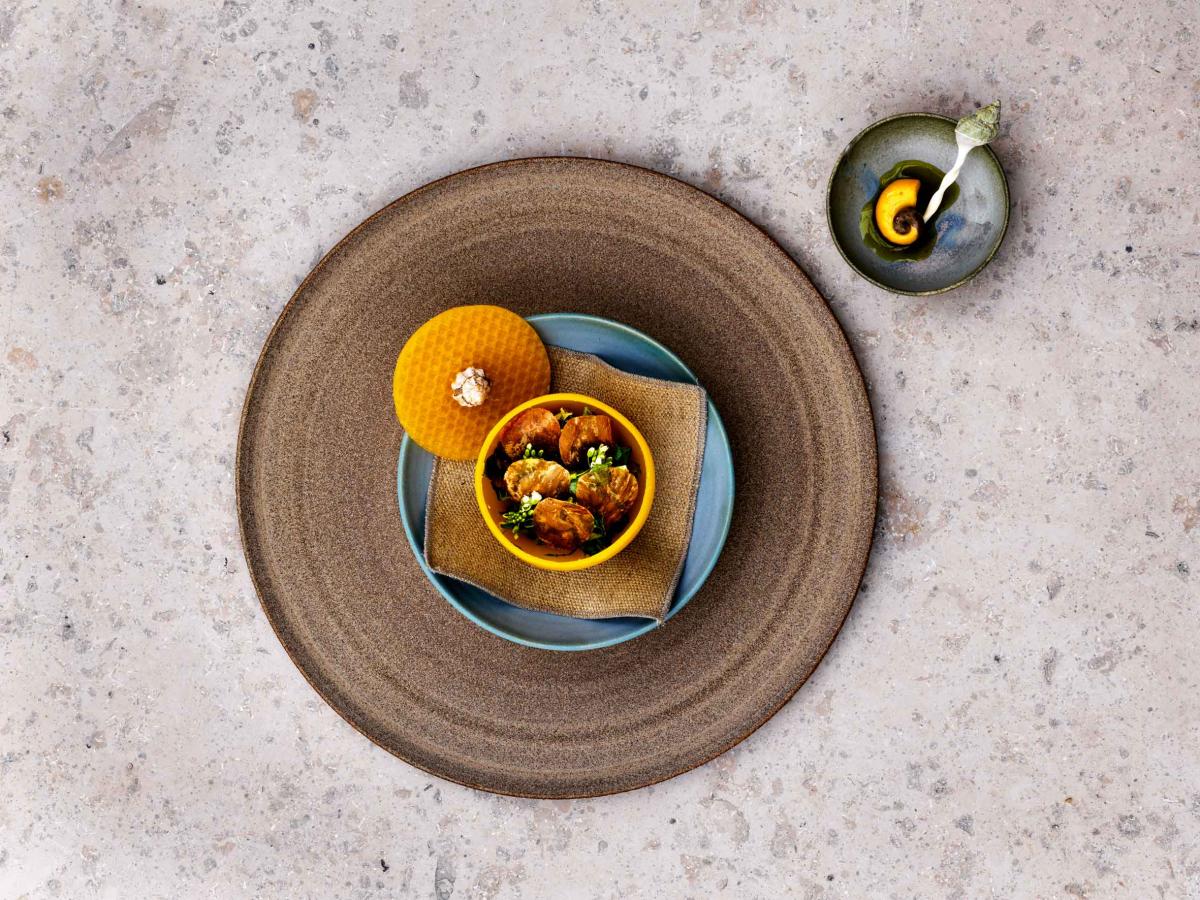 noma is a world-renowned michelin-starred resaturant in Copenhagen