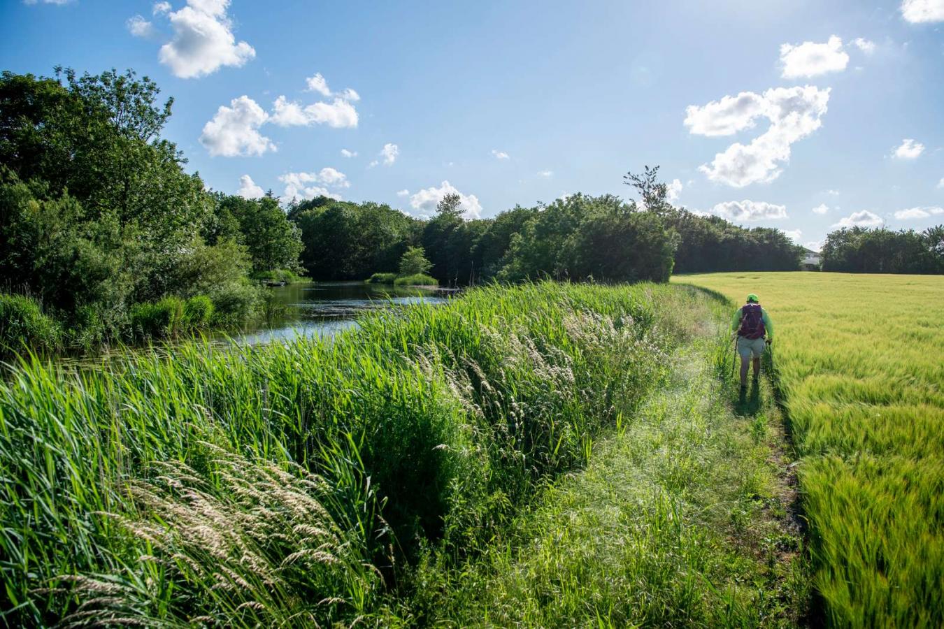 Wanderung in der Tøndermarsch