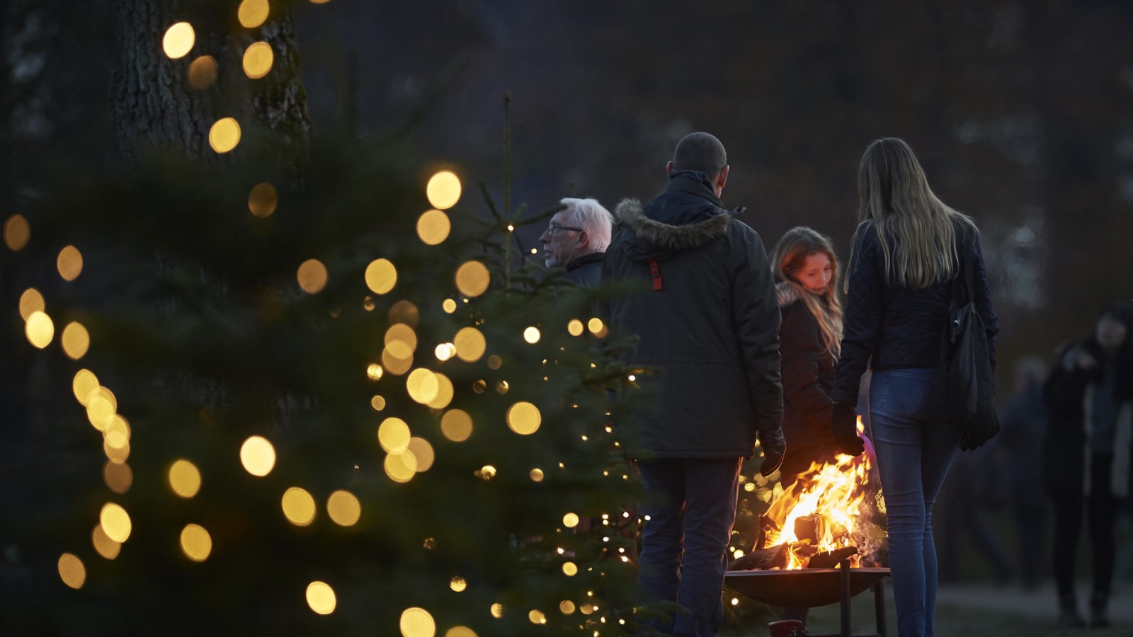 Egeskov Slot at Christmas at night