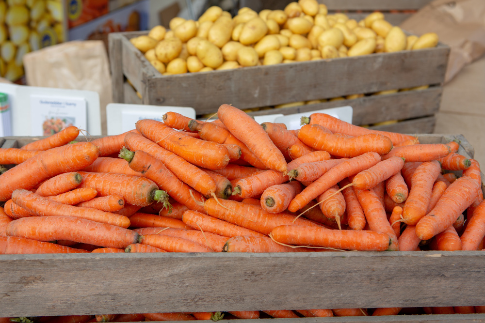Gemüse vom Lammefjord