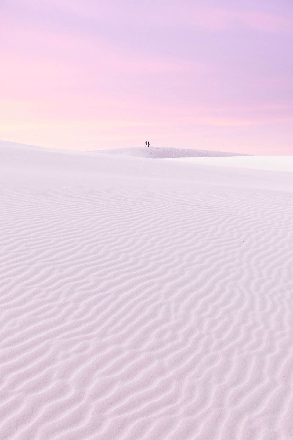 Die Wanderdüne Råbjerg Mile in Nordjütland