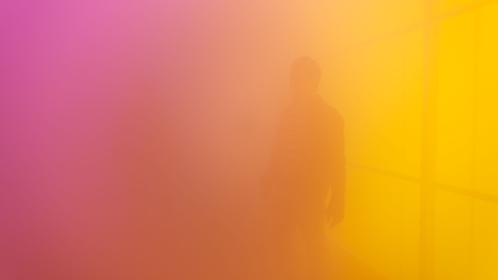 Ann Veronica Janssen Blue, Red and Yellow, 2001