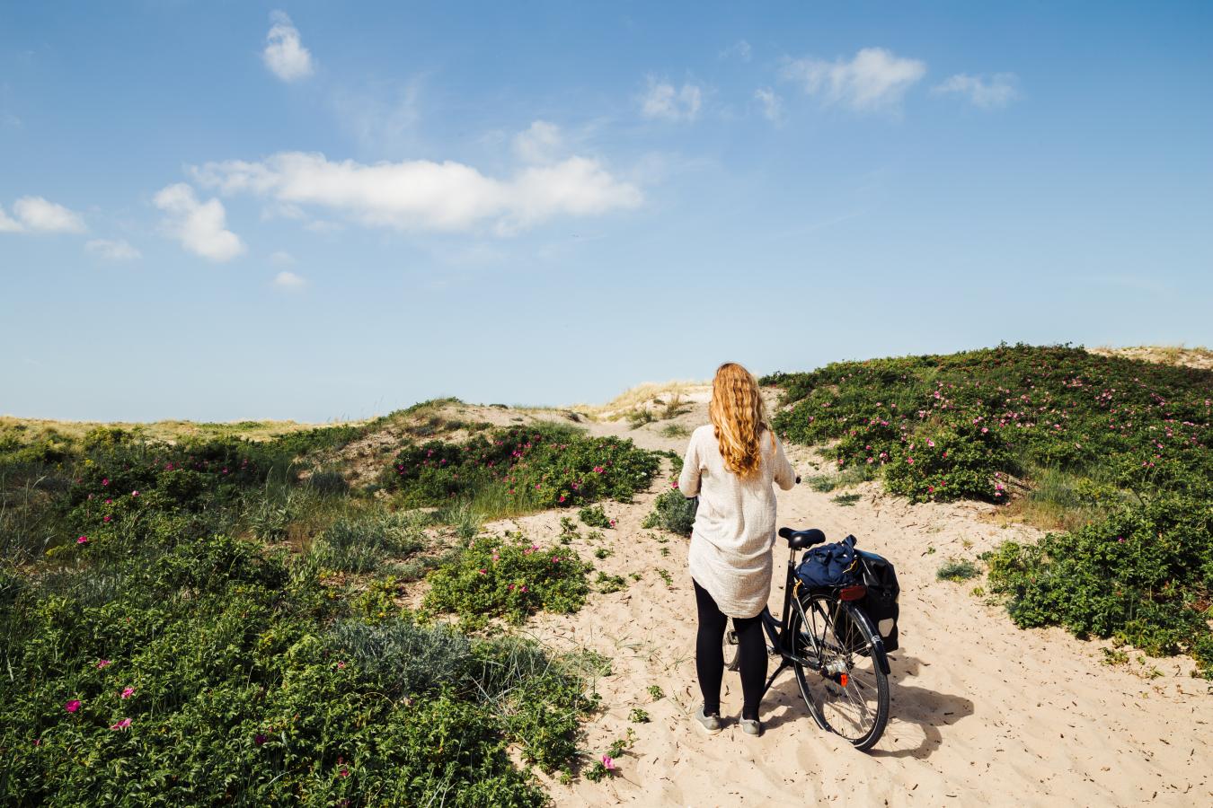 Fahrradfahrerin auf dem Nordküstenradweg in Nordseeland an der Dänischen Ostsee