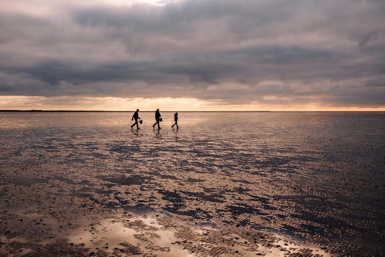 Das Weltnaturerbe Wattenmeer an der Süddänischen Nordsee