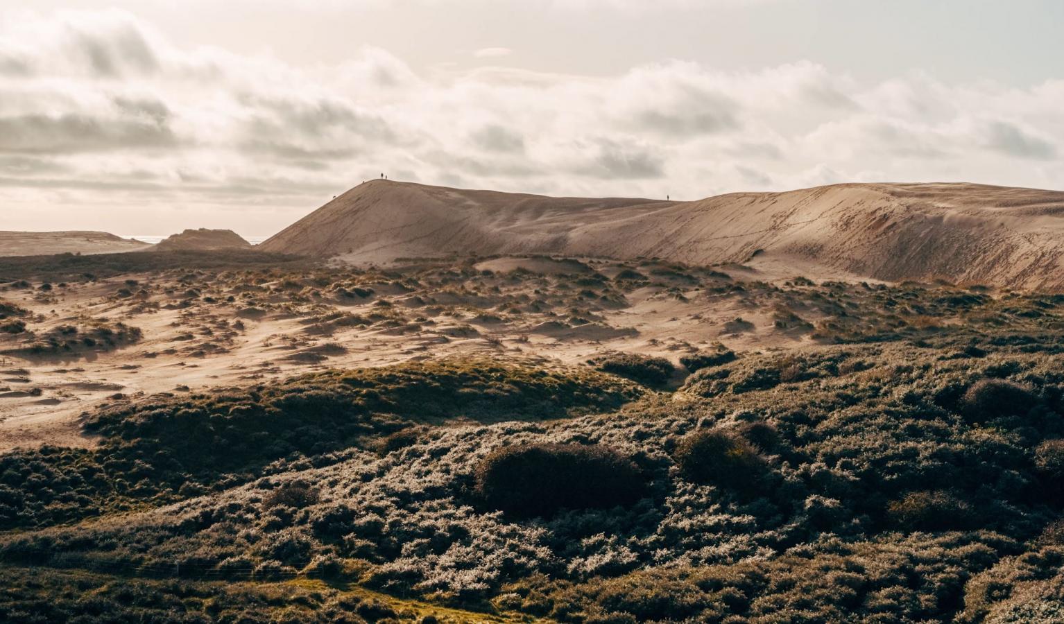 Mannen som flyttet fyrtårnet: Rubjerg Knude