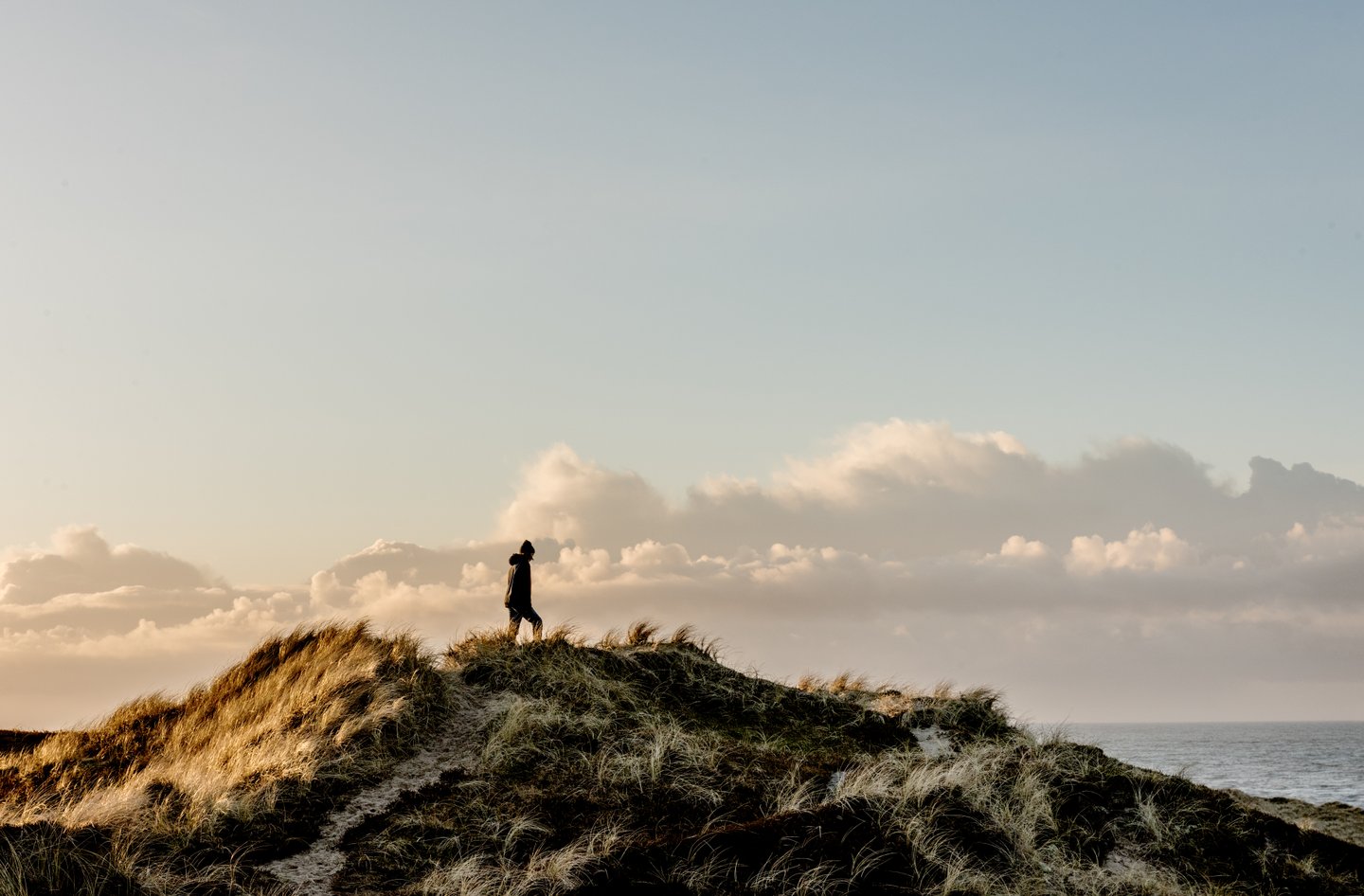 Dunes at Nationalpark Thy, near Klitmøller on the west coast of Denmark
