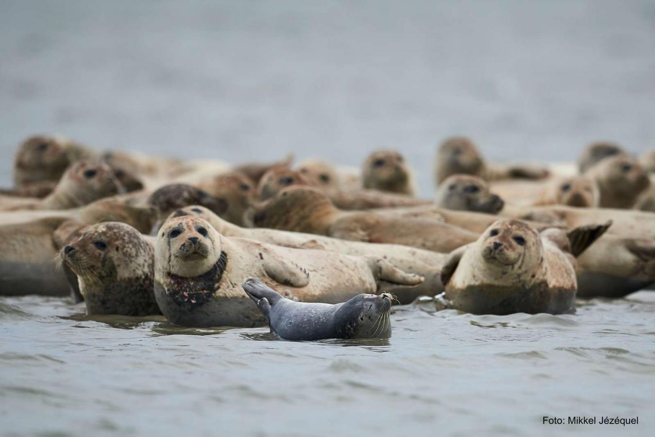 Denemarken vakantie tips