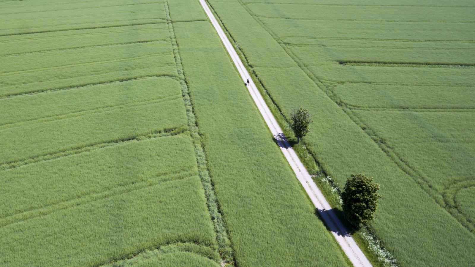 Cycling through the Guldborgsund Nature Reserve