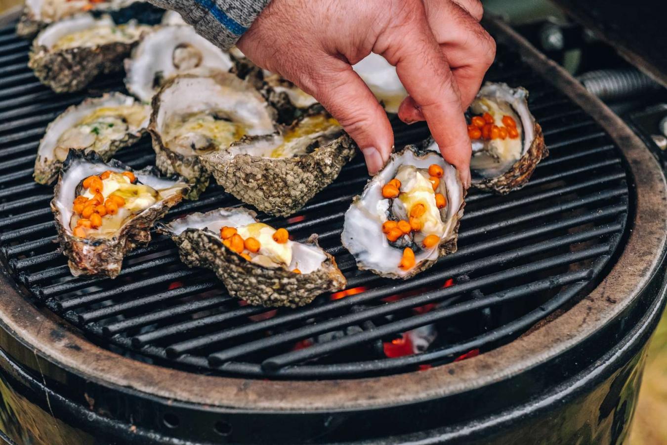 Herfstvakantie vakantietip Denemarken, oestersafari