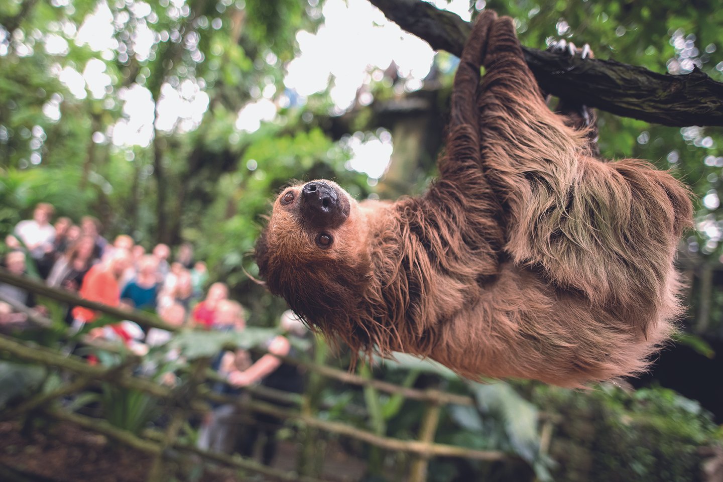 Tropiska äventyr i Randers Regnskov