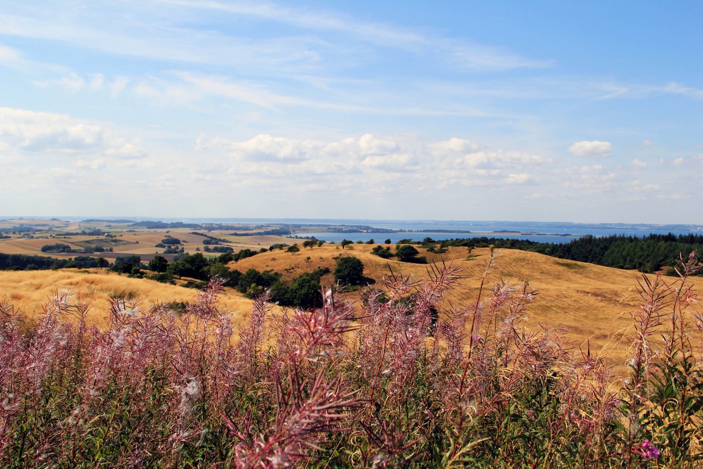 Mols Bjerge Djursland