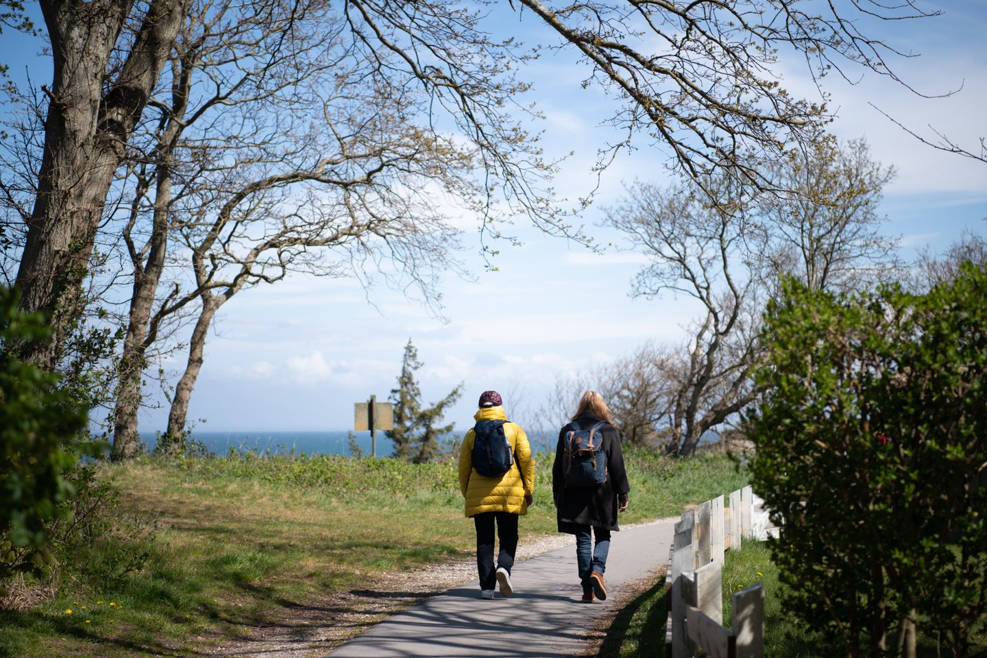 Hiking along the coast in North Zealand