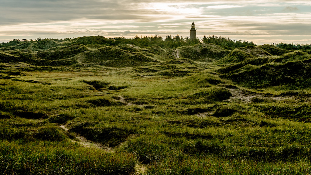 Nationaal Park Thy in Noord-Jutland