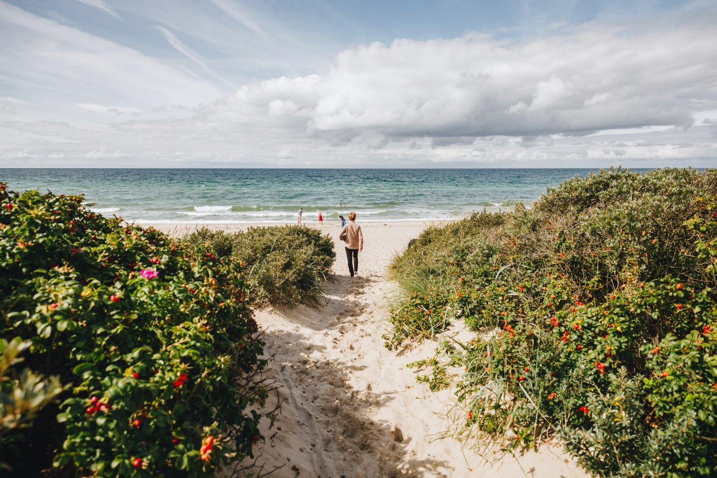 Going to the beach in Tisvilde
