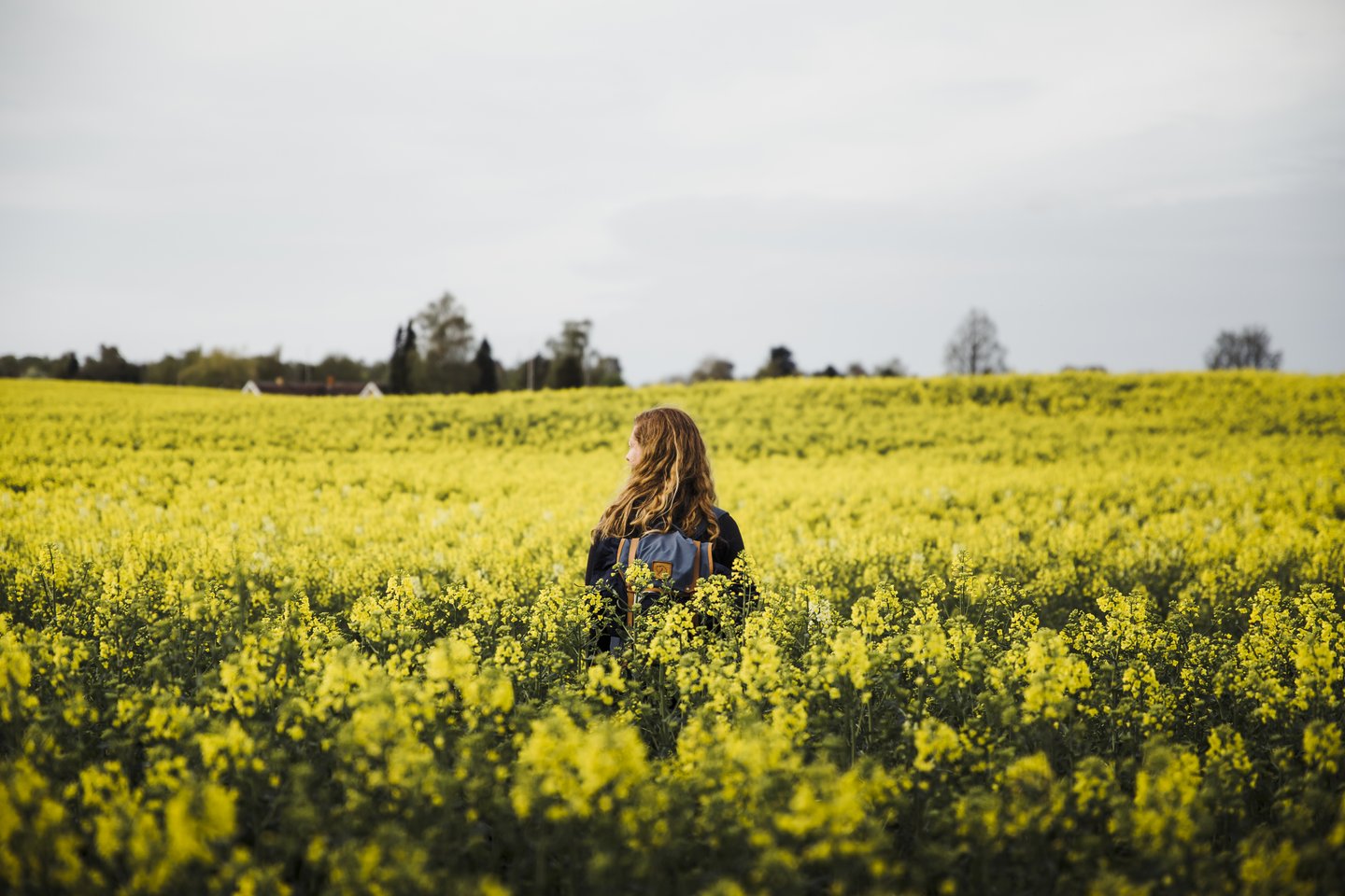 Woman walking in a field of bright yellow flowers