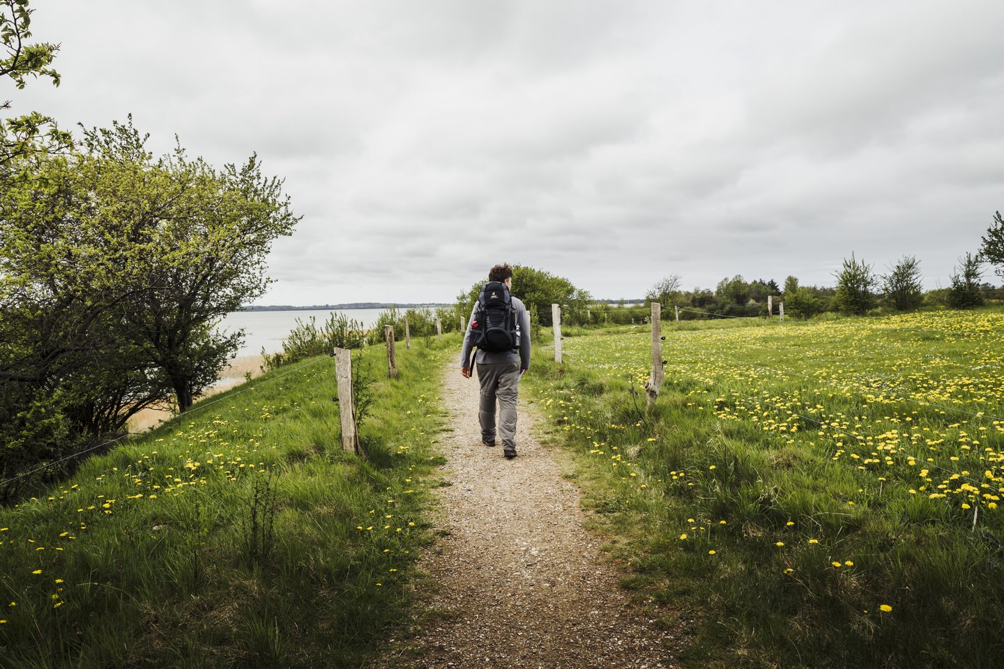 Wandern in Nordseeland an der Dänischen Ostsee