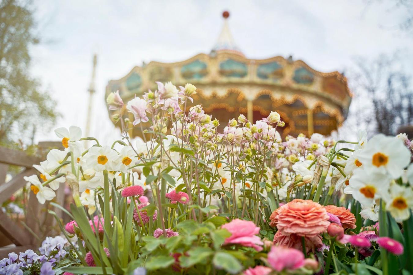 Missa inte Tivoli när du är i Köpenhamn!