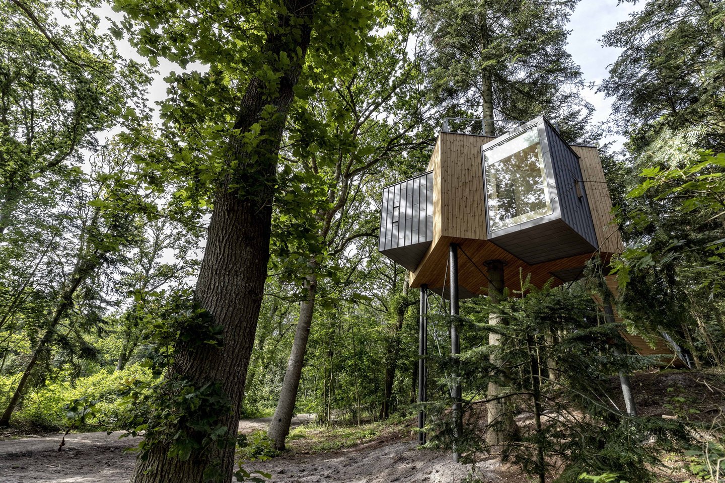 Løvtag treehouse
