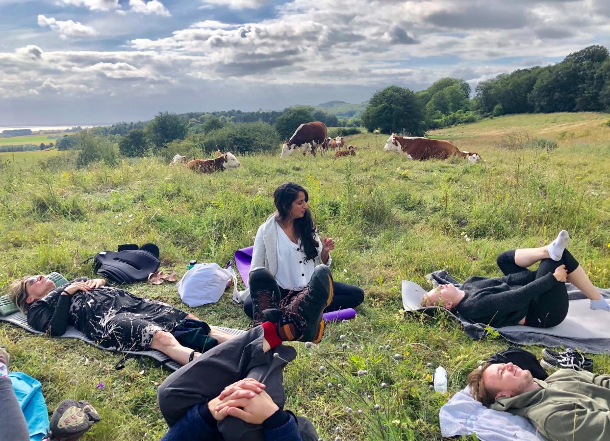 Camp Møns Klint Cow Yoga