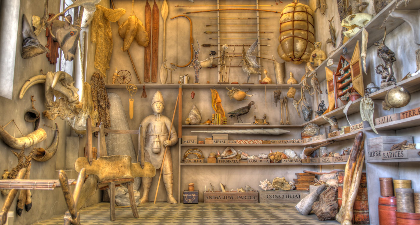 Ole Worm's collection at the Natural History Museum of Denmark