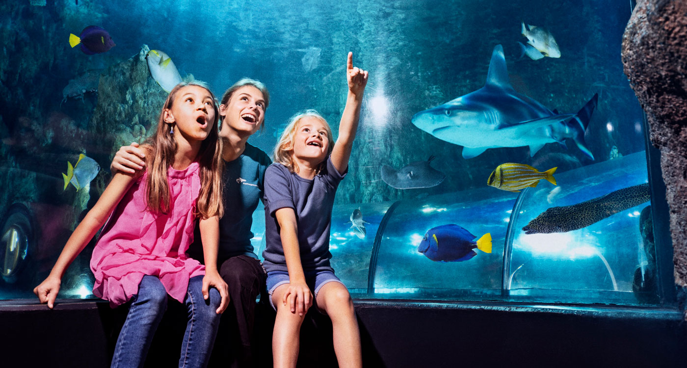 A family enjoying the Kattegat Centre aquarium