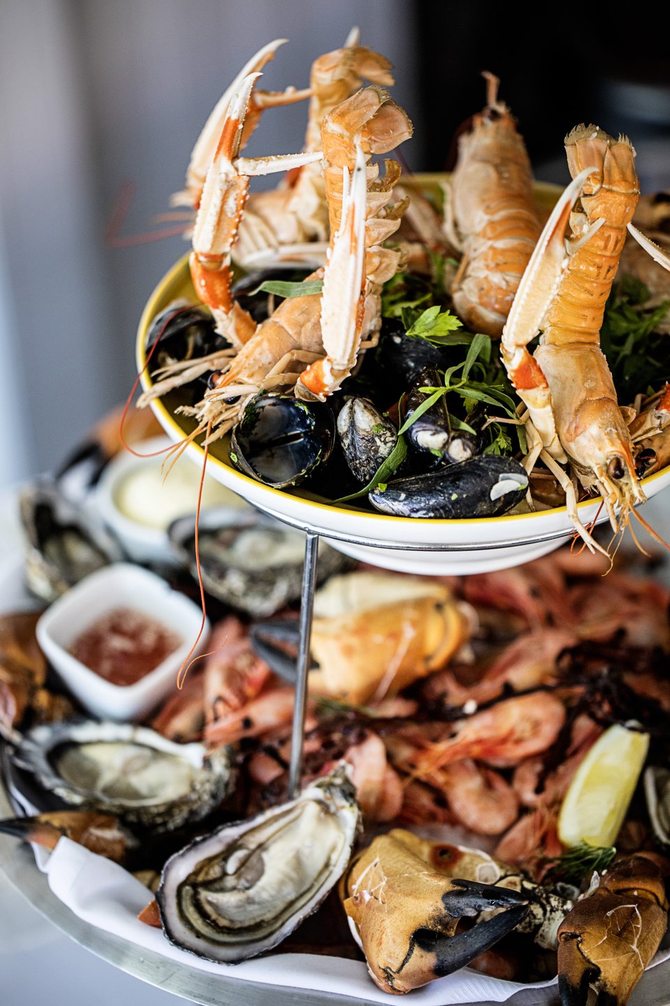 Frossa i färska skaldjur i Nordjylland