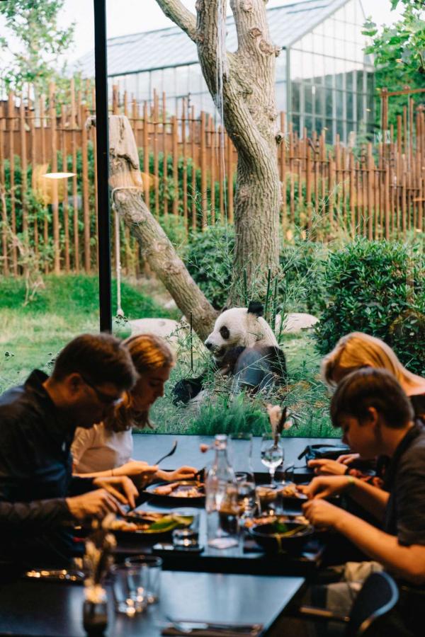Restaurant mit Aussicht zum Pandagehege im Zoo Kopenhagen