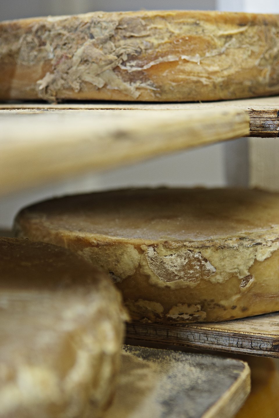 Dansk ost är en delikatess som många fastnar för 