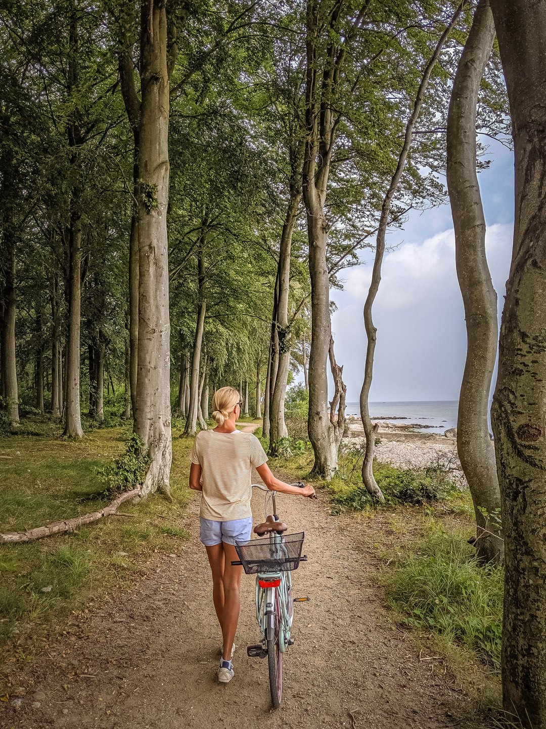Utforska Hornbaek och den danska rivieran på Nordsjälland från cykelsadeln
